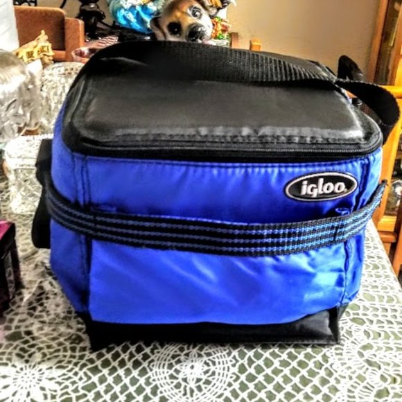 Foldable Canvas Igloo Ice Chest - NWOT - Picture 1 of 1
